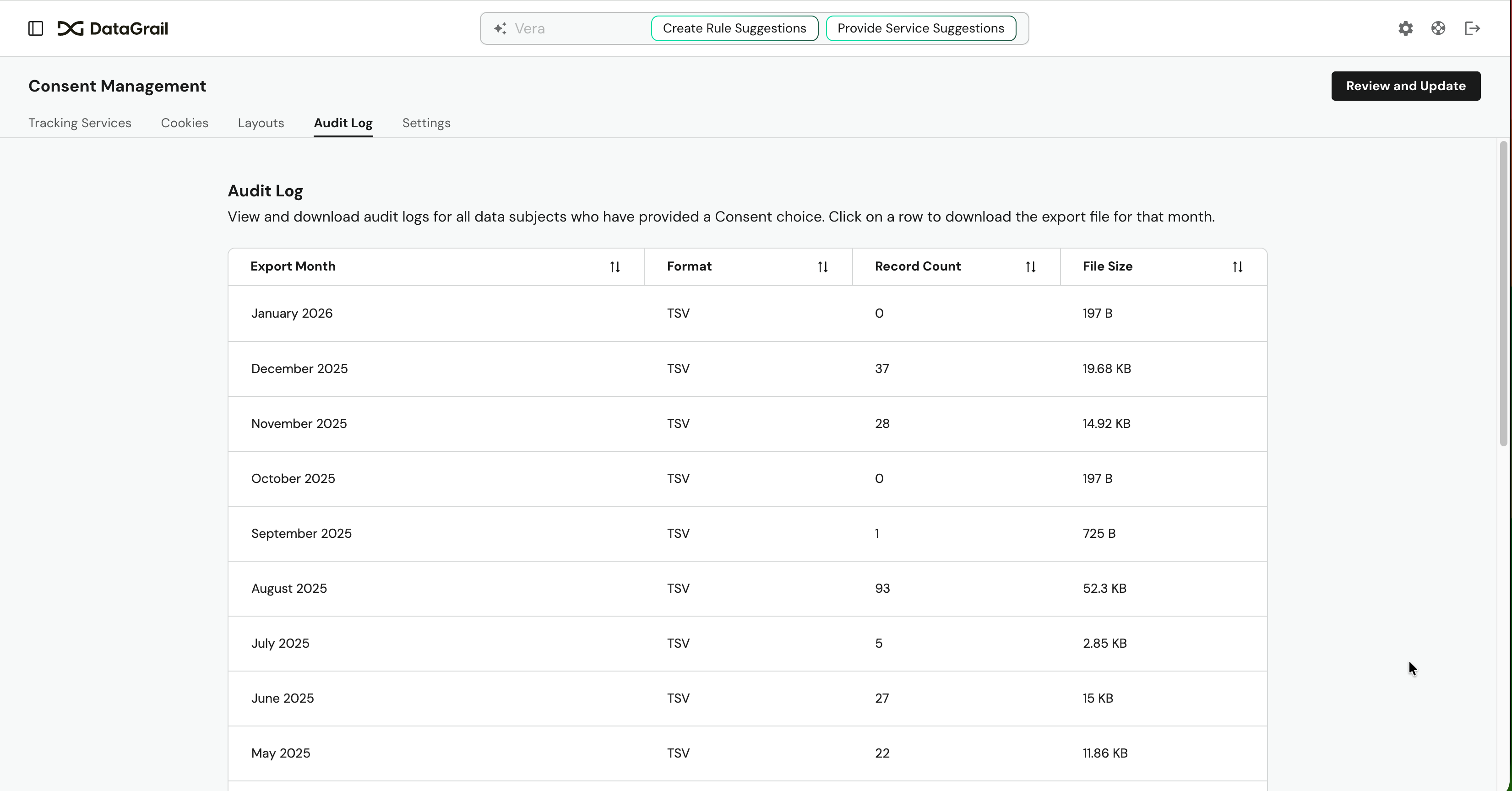 Accessing The Audit Log